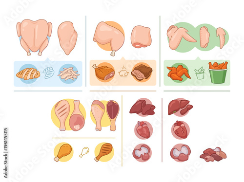 A Diverse Collection of Chicken Parts and Prepared Chicken Dishes, Showcasing Culinary Versatility