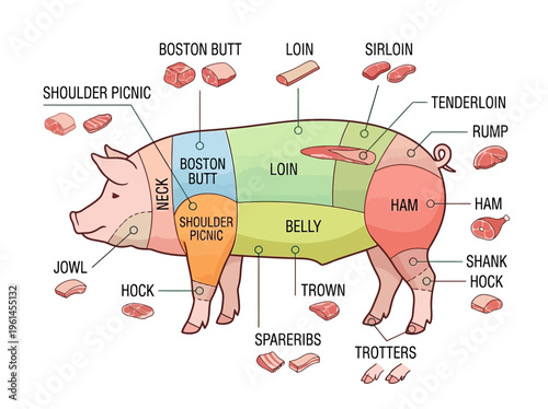 A detailed diagram illustrating the different cuts of pork from a pig, labeled for culinary use