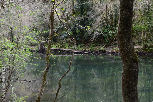 A orillas del Eume, Fragas del Eume, Galicia, Spain