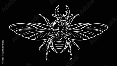 Stag beetle vector illustration on black