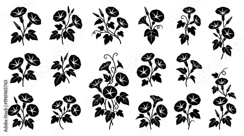 Elegant morning glory vector silhouette bundles and floral bouquets with blossoming flowers, stems, and leaves for botanical illustrations and decorative spring designs.