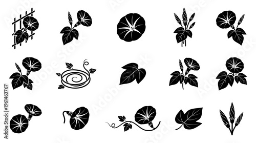 Collection of morning glory vector silhouettes featuring single blooming flowers, buds, green leaves, and curling vines isolated on white background for floral design elements.