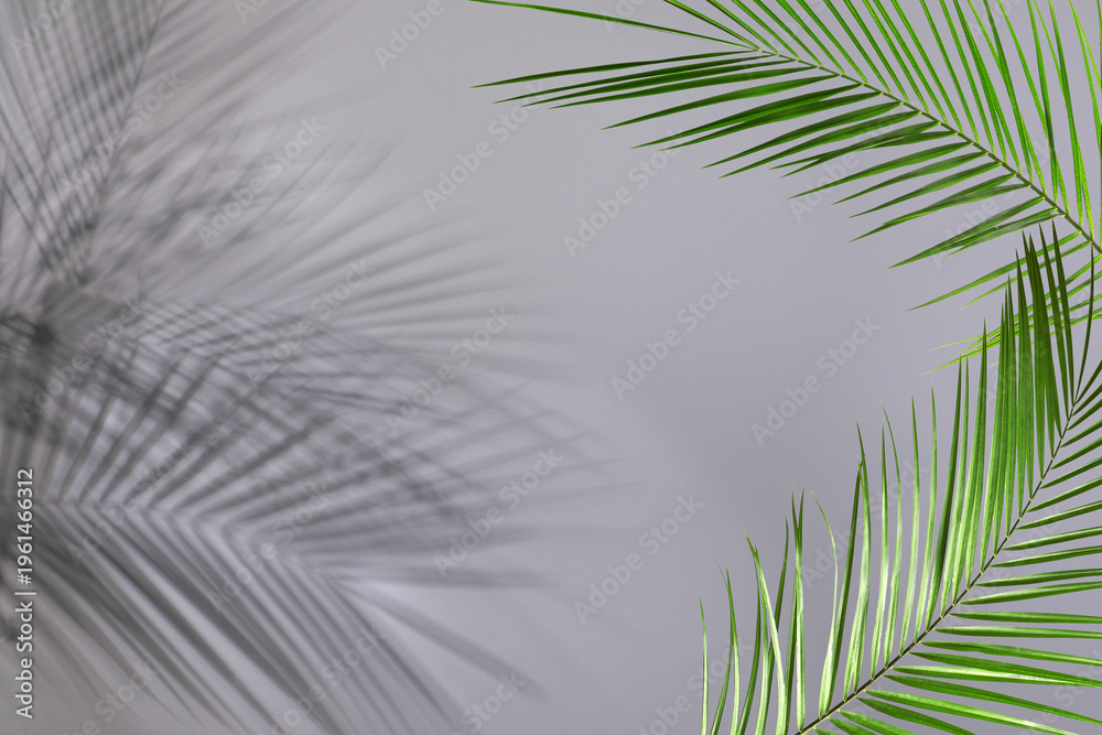 Fototapeta premium Green tropical leaves casting shadow on grey background