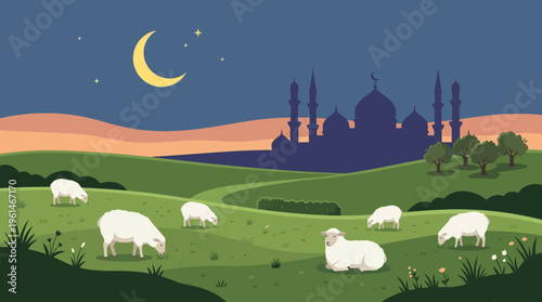 Eid Adha Sheep Grazing in Green Field.