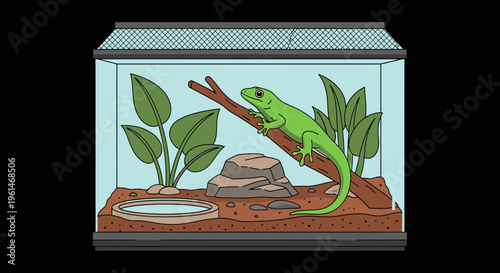 Green chameleon in a terrarium habitat.