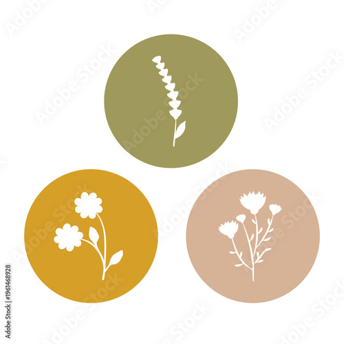 Three unique white flower silhouettes appear within separate colored circles, arranged against a white backdrop. The designs include lavender, small blossoms, and a wild thistle-like plant.
