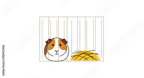 Cute guinea pig in cage looking.