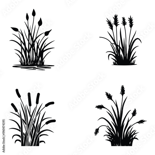 Set of black cattail and river grass silhouettes isolated on white background.