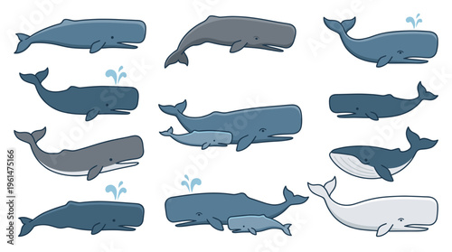 Collection of flat colored sperm whale vector illustrations showing different swimming poses, mother and calf, and a white marine mammal isolated on white background.