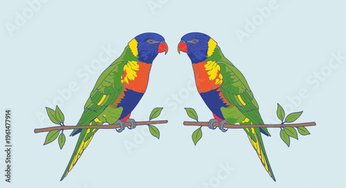 Two colorful parrots on branch together 5.