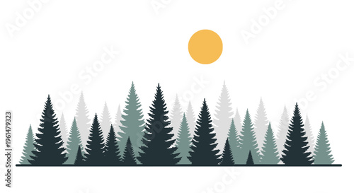 Illustration of a pine tree forest.