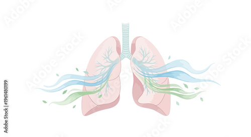 Digital illustration of human lungs with fresh air and green leaves, symbolizing healthy respiration, clean breathing, and vital pulmonary function for well-being
