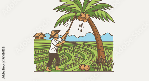 Man Harvesting Coconut From Palm Tree.