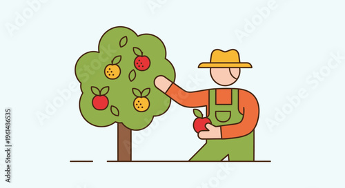 Man picking fruit from tree branch 1.