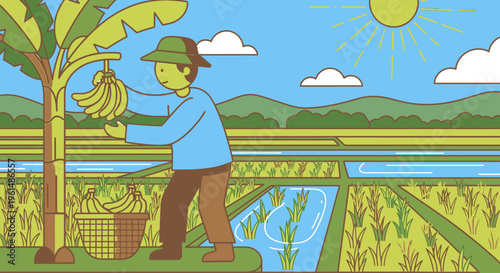 Man picking bananas from tree.