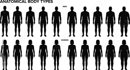 Anatomical body types silhouette set with diverse men and women figures representing various physical shapes weights and human proportions for medical health