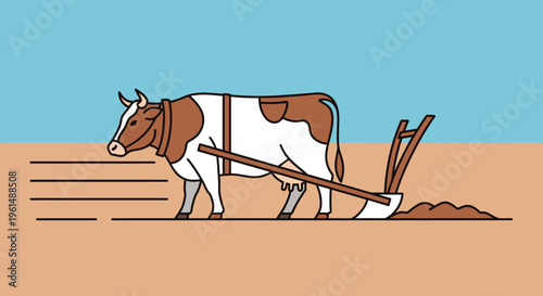 Brown and white cow plowing field.