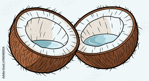 Two halved brown coconut fruits inside.