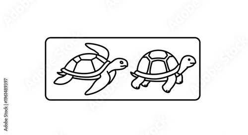 Charming Outline Illustration of a Swimming Sea Turtle and a Walking Land Tortoise in Minimalist