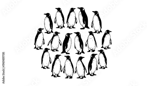 Black and white penguin drawings collection Antarctic bird sketch vector set