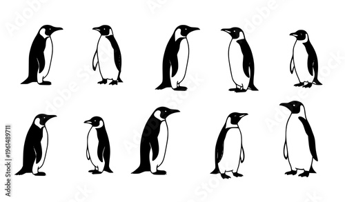 Minimal penguin vector set black white Antarctic bird icon illustration