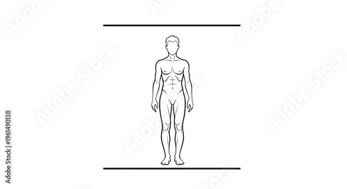 Vector illustration of a standing male body outline perfect for health and wellness visuals