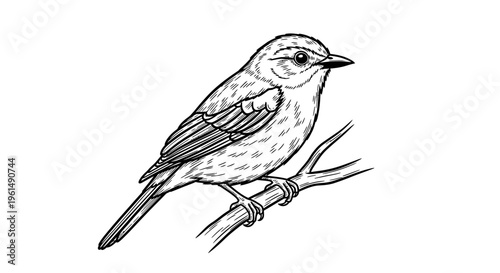 A small bird perched on branch.