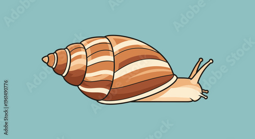 Brown striped garden snail shell.