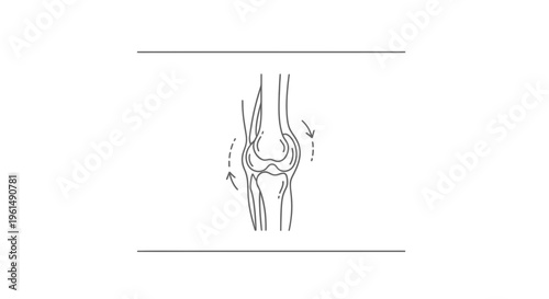 Detailed line illustration of human knee joint anatomy showcasing rotational movement for health