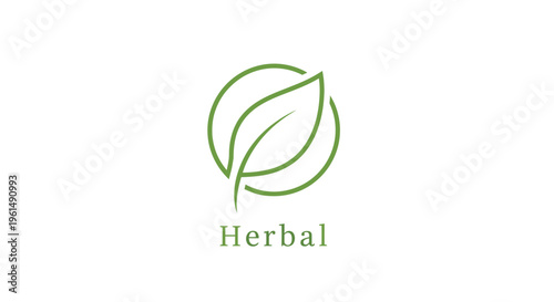 Herbal leaf logo design element green.