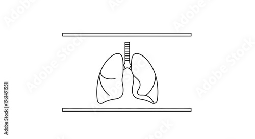 Simple line art illustration of human lungs and trachea depicting respiratory anatomy for health