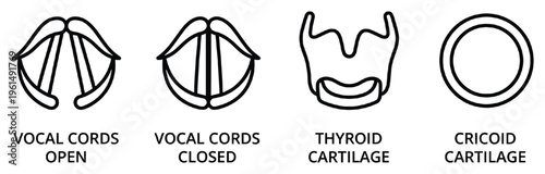 Anatomy icons set showing vocal cords open and closed thyroid cartilage and cricoid cartilage