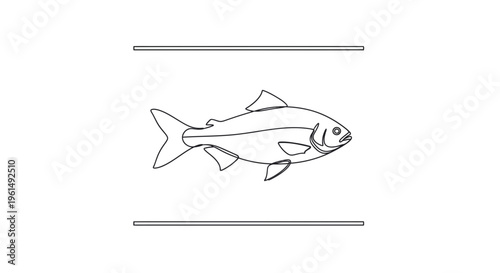 Minimalist continuous line art drawing of a common fish swimming gracefully between subtle