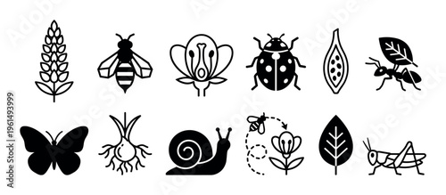 Collection of black nature icons showing various insects and plants including a bee, butterfly, ant, snail, ladybug, grasshopper, flower, wheat, and a leaf in a simple graphic style