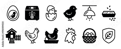 Chicken farming and poultry life cycle icons set showing an embryo, incubator, hatching chick, hen, rooster, coop, and basket of eggs in a simple black glyph style