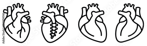 Heart anatomy diagram showing different views of blood flow in a cardiovascular system illustration