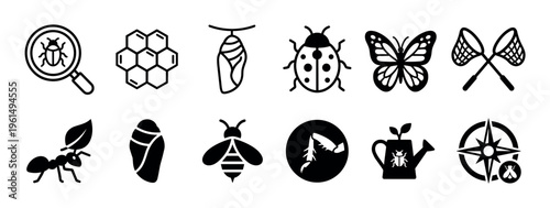 Set of black insect and entomology icons featuring a butterfly, bee, ant, ladybug, pupa, honeycomb, and research equipment in a simple minimalist graphic style