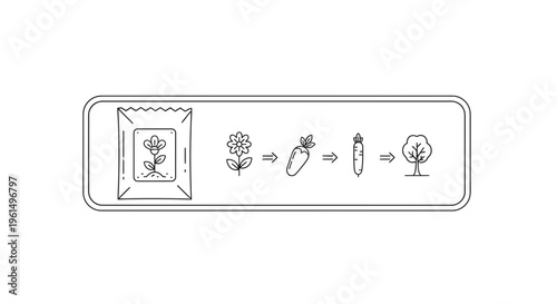 Sequential Growth Stages of Plants from Seed Packet to Mature Tree Outline Illustration