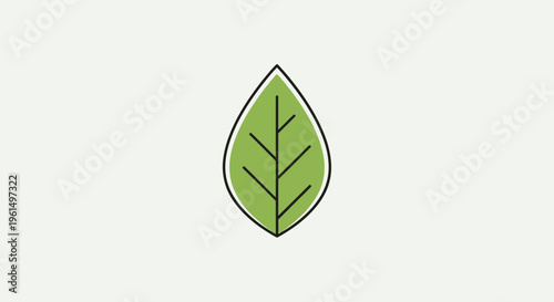 Green leaf illustration with veins.