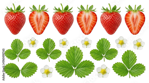 Strawberry collection with leaves and flowers on black