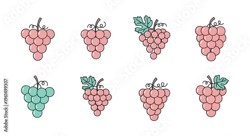 Hand-drawn colorful grape bunches icons with leaves and stems, pink and blue grape illustrations for food design and decoration