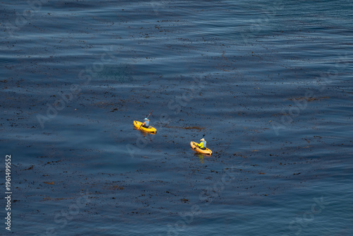 Pair of kayakers paddle over the kelp forrests along the shores of Santa Cruz Island, California