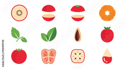 Flat design fruit and berry elements including seeds, leaves, cross sections, and juice drop icons for food and health illustrations