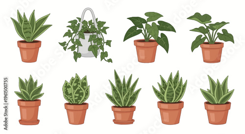 Vector illustration set of indoor houseplants including snake plants, succulents, and climbing ivy in terracotta clay pots and a white hanging planter, isolated on white background.