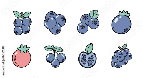 Hand drawn blueberry icons set with fresh berries, leaves and sliced fruit illustration, perfect for healthy food and organic product design