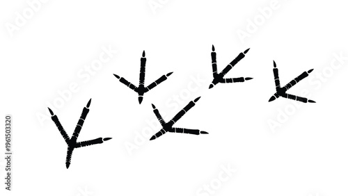 Clear path of bird footprints or claw marks walking across a plain white surface in a diagonal direction, suggesting movement and wildlife tracks.