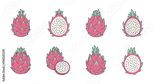 Hand-drawn dragon fruit illustrations with whole and sliced views, exotic tropical fruit clipart for recipes and healthy lifestyle designs