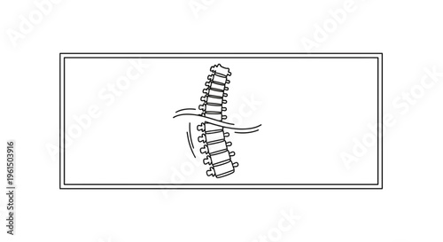 Dynamic vertebral column illustration signifying back health, flexibility, or potential