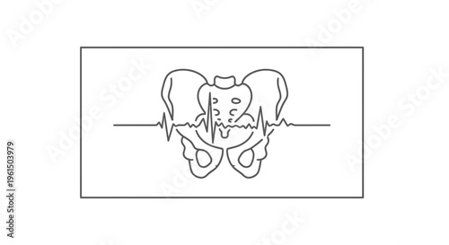 Line art illustration of a human pelvis with a continuous heartbeat rhythm representing health and