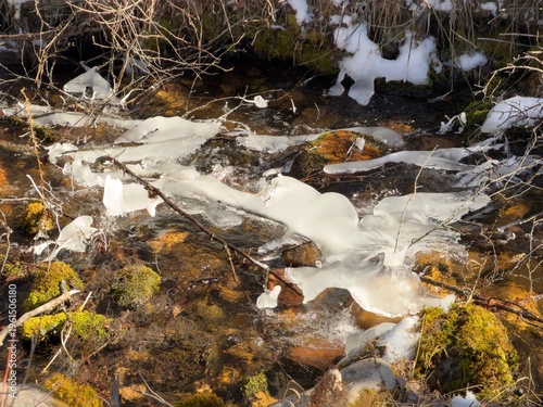 The Crystal Thaw: Nature’s Ice Sculptures